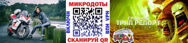 Галлюциногенные грибы прущие грибы  Купить  Аркадак 